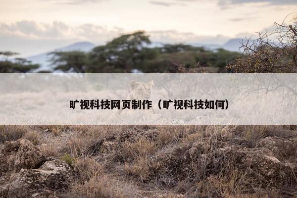 旷视科技网页制作（旷视科技如何）