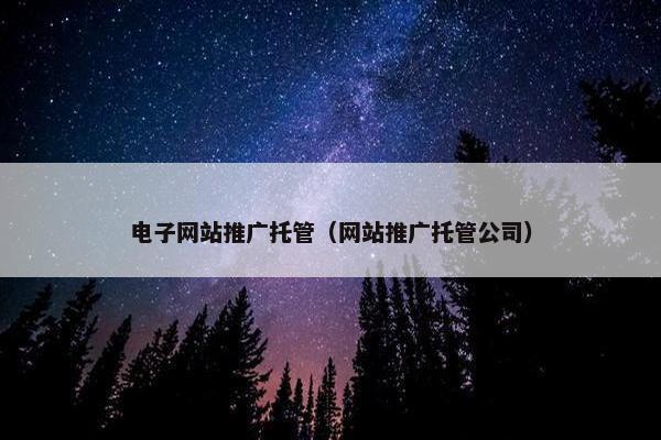 电子网站推广托管（网站推广托管公司）