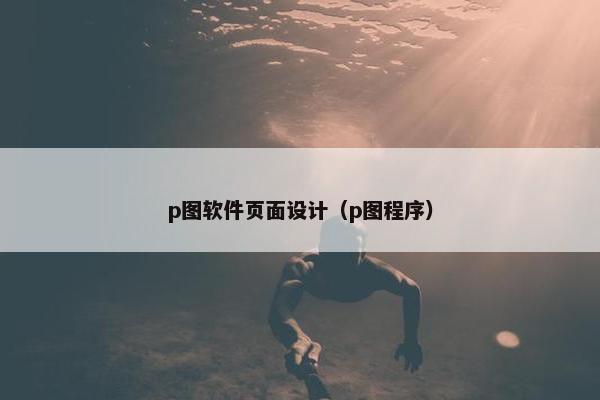 p图软件页面设计（p图程序）