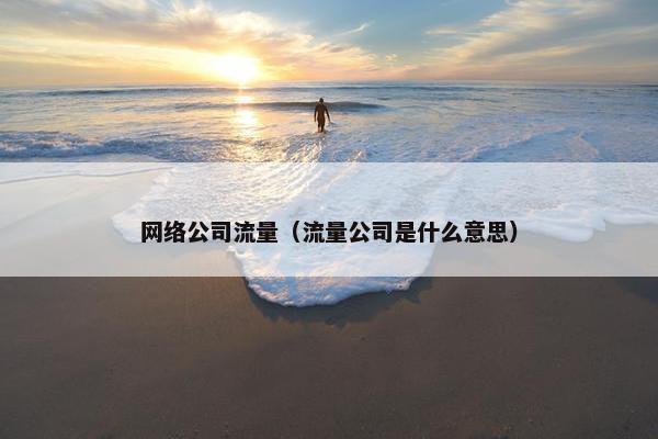 网络公司流量（流量公司是什么意思）