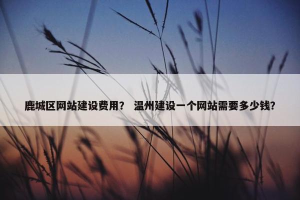 鹿城区网站建设费用？ 温州建设一个网站需要多少钱？