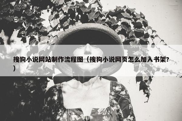 搜狗小说网站制作流程图（搜狗小说网页怎么加入书架?）