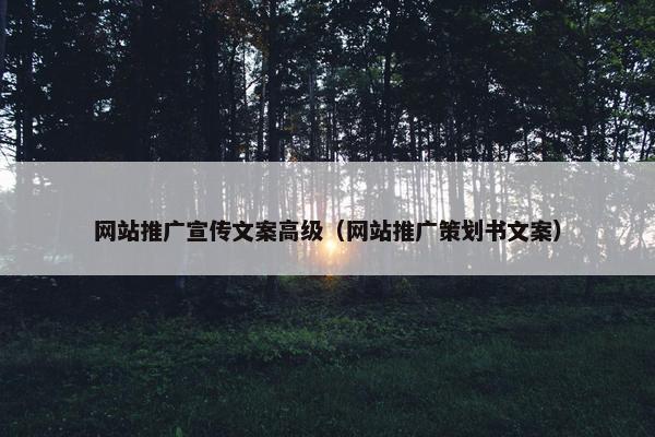 网站推广宣传文案高级（网站推广策划书文案）