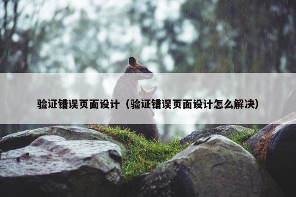 验证错误页面设计（验证错误页面设计怎么解决）