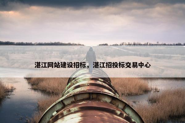 湛江网站建设招标，湛江招投标交易中心