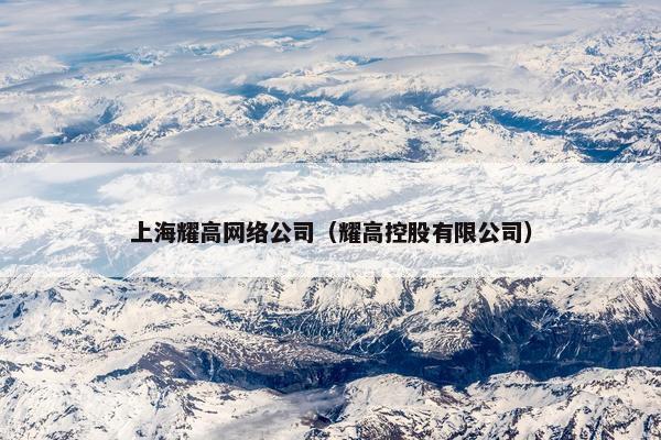上海耀高网络公司（耀高控股有限公司）