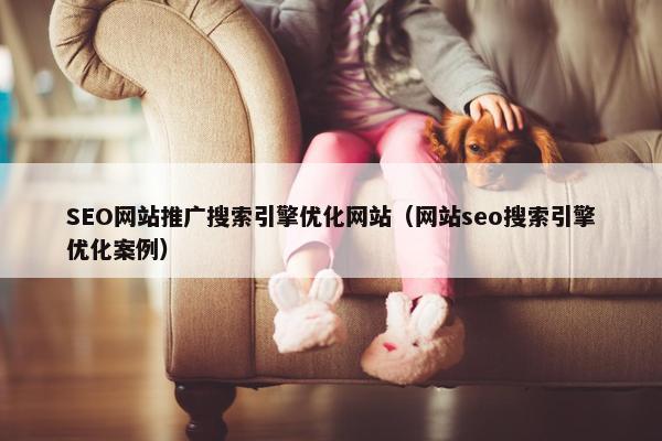 SEO网站推广搜索引擎优化网站（网站seo搜索引擎优化案例）