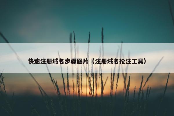 快速注册域名步骤图片（注册域名抢注工具）