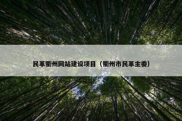 民革衢州网站建设项目（衢州市民革主委）