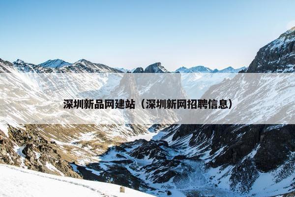 深圳新品网建站（深圳新网招聘信息）