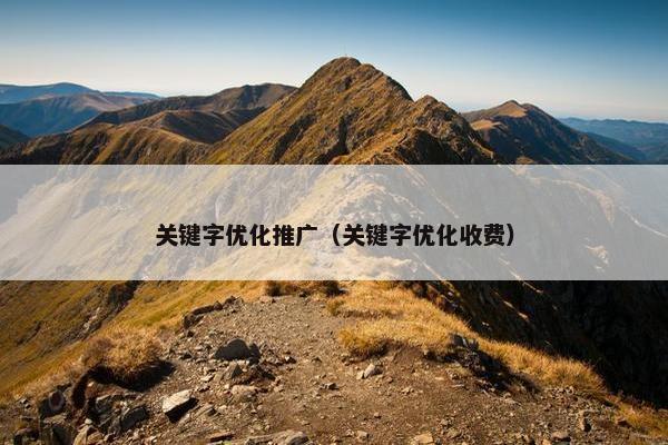关键字优化推广（关键字优化收费）