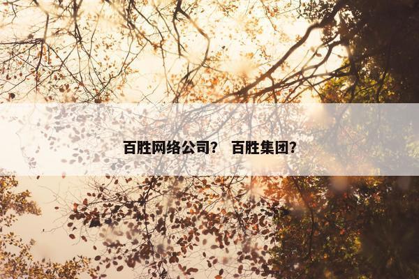 百胜网络公司？ 百胜集团？