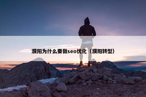濮阳为什么要做seo优化（濮阳转型）
