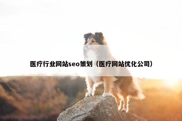 医疗行业网站seo策划（医疗网站优化公司）