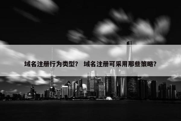 域名注册行为类型？ 域名注册可采用那些策略？