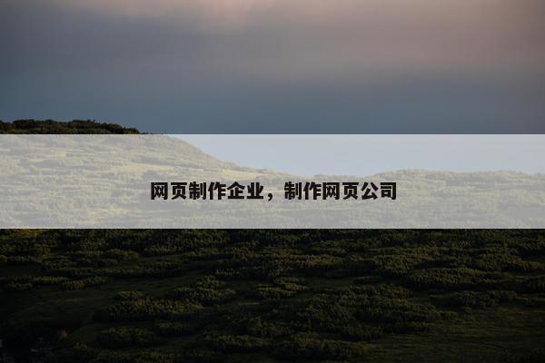 网页制作企业，制作网页公司