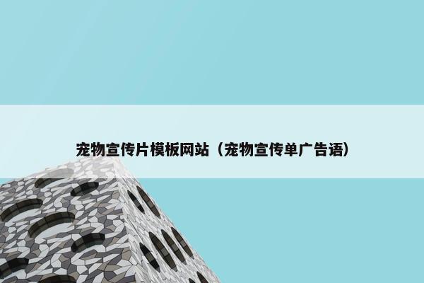 宠物宣传片模板网站（宠物宣传单广告语）