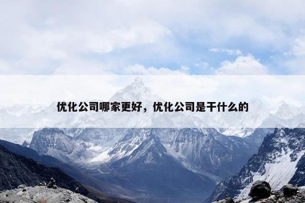 优化公司哪家更好，优化公司是干什么的