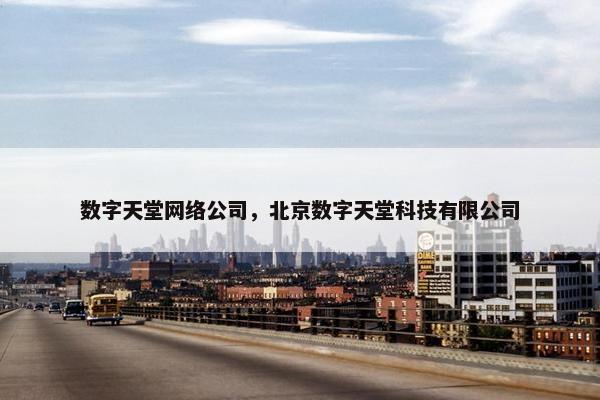 数字天堂网络公司，北京数字天堂科技有限公司