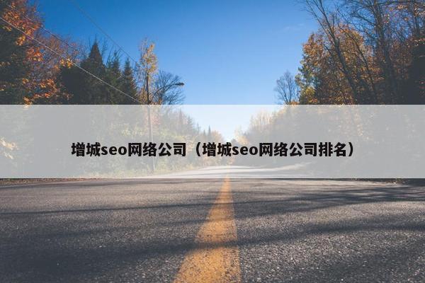 增城seo网络公司（增城seo网络公司排名）