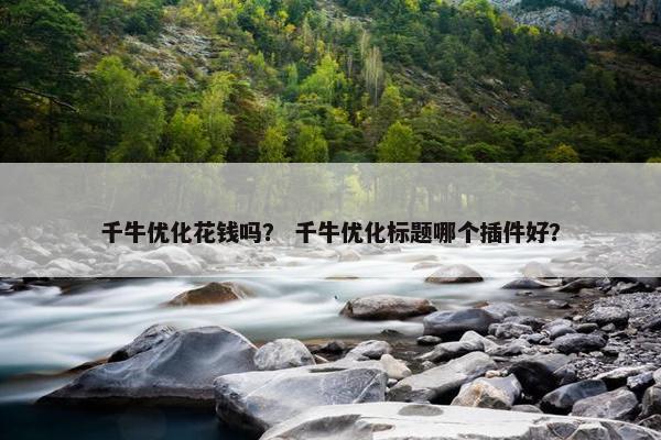千牛优化花钱吗？ 千牛优化标题哪个插件好？