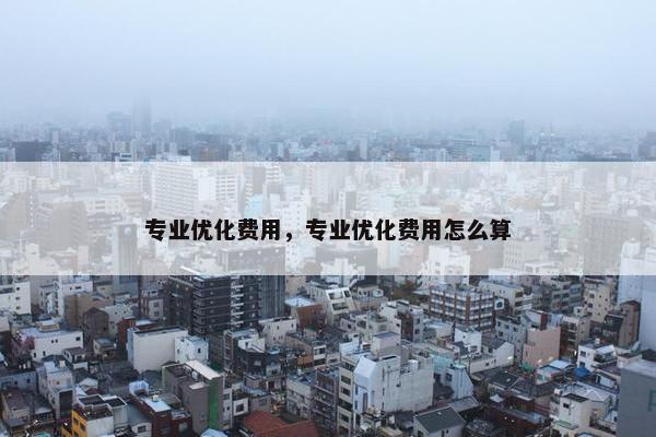 专业优化费用，专业优化费用怎么算
