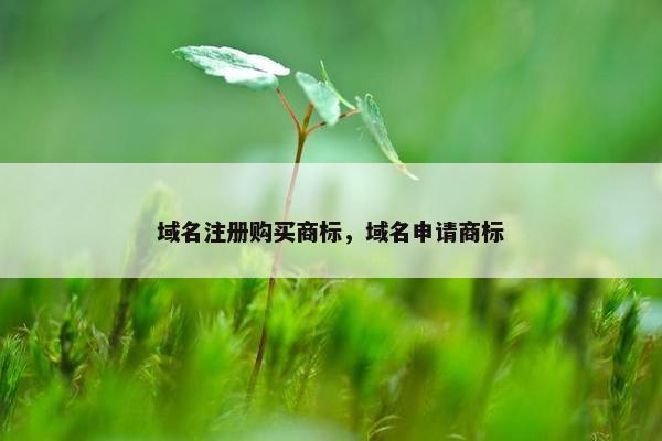 域名注册购买商标，域名申请商标