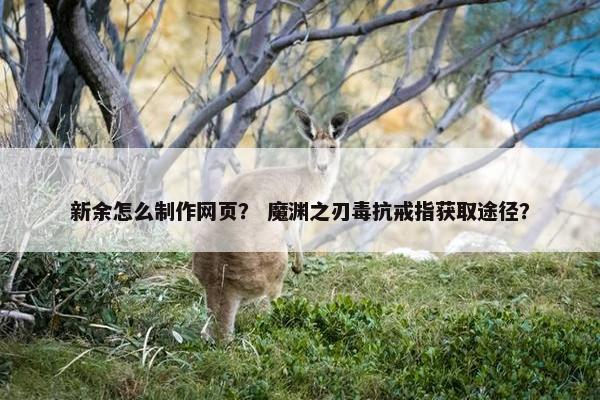 新余怎么制作网页？ 魔渊之刃毒抗戒指获取途径？