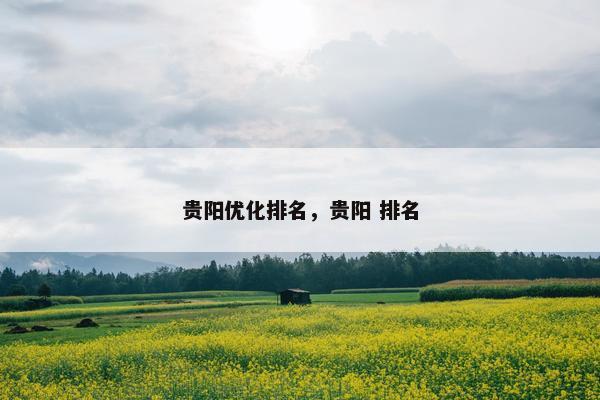贵阳优化排名，贵阳 排名