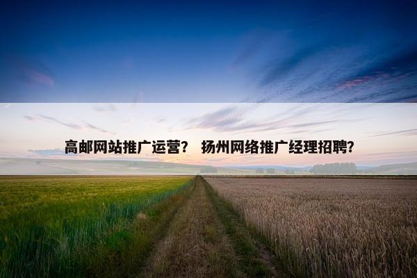 高邮网站推广运营？ 扬州网络推广经理招聘？
