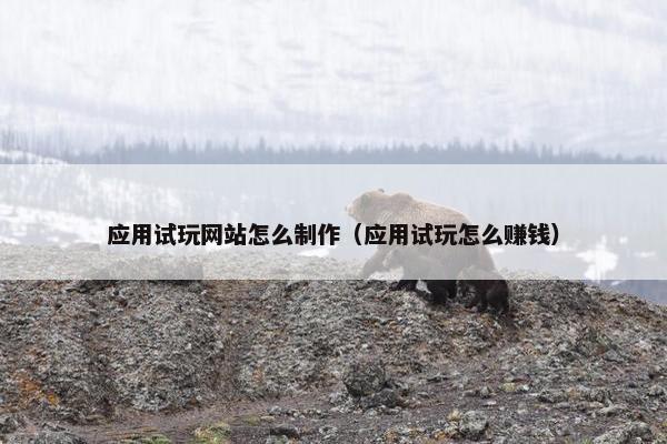 应用试玩网站怎么制作（应用试玩怎么赚钱）