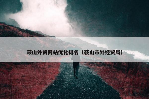 鞍山外贸网站优化排名（鞍山市外经贸局）