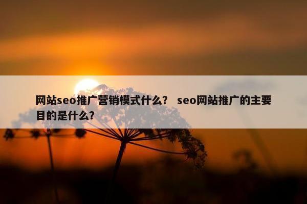 网站seo推广营销模式什么？ seo网站推广的主要目的是什么？