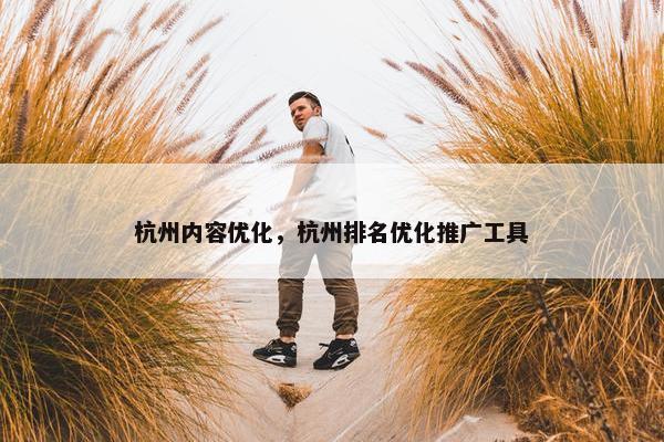 杭州内容优化，杭州排名优化推广工具