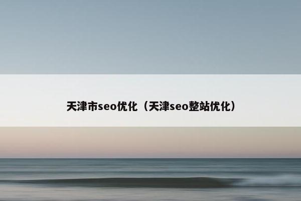 天津市seo优化（天津seo整站优化）
