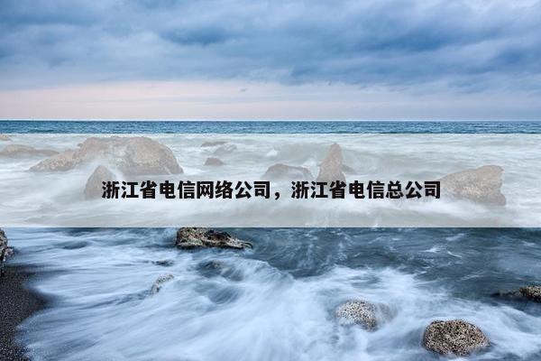 浙江省电信网络公司，浙江省电信总公司