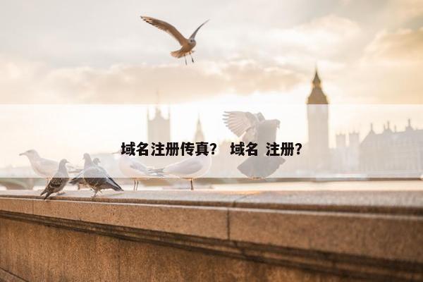 域名注册传真？ 域名 注册？
