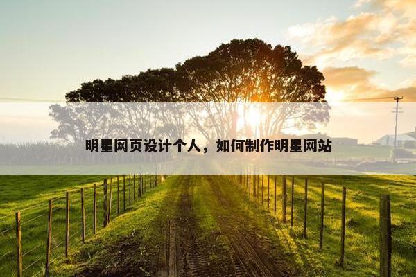 明星网页设计个人，如何制作明星网站