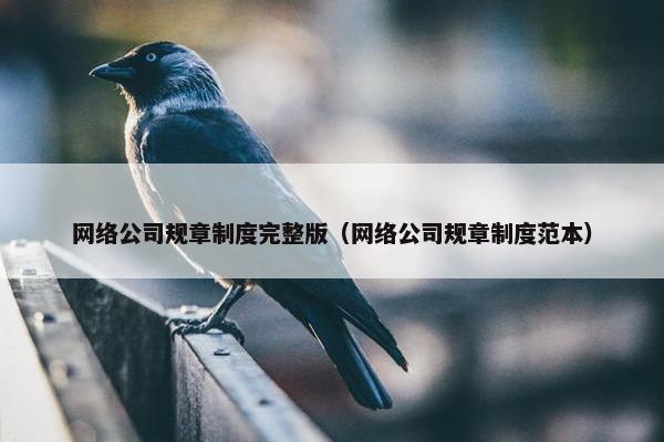 网络公司规章制度完整版（网络公司规章制度范本）