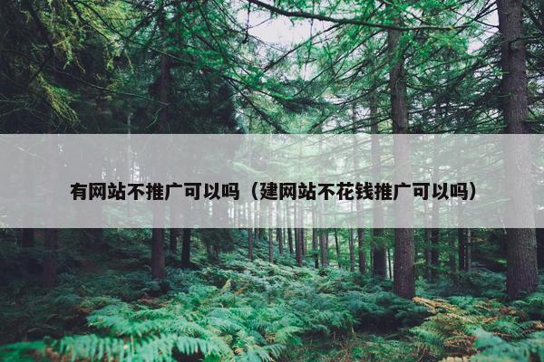 有网站不推广可以吗（建网站不花钱推广可以吗）