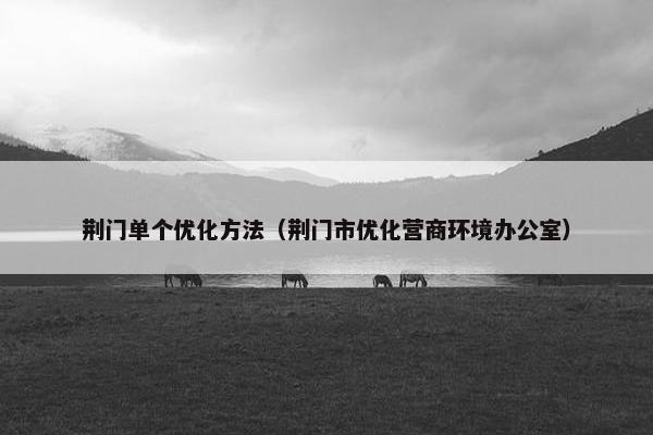 荆门单个优化方法（荆门市优化营商环境办公室）