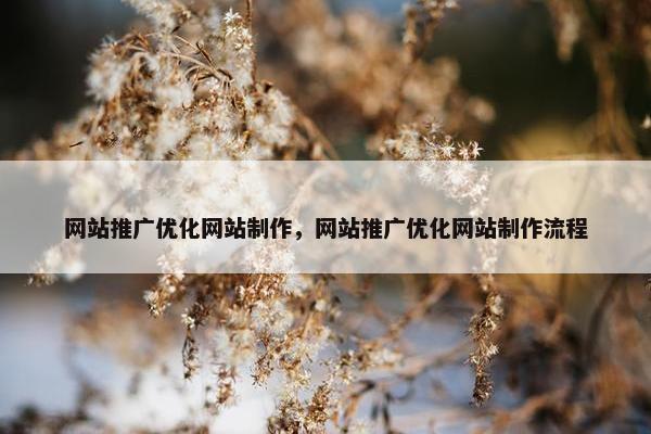网站推广优化网站制作，网站推广优化网站制作流程