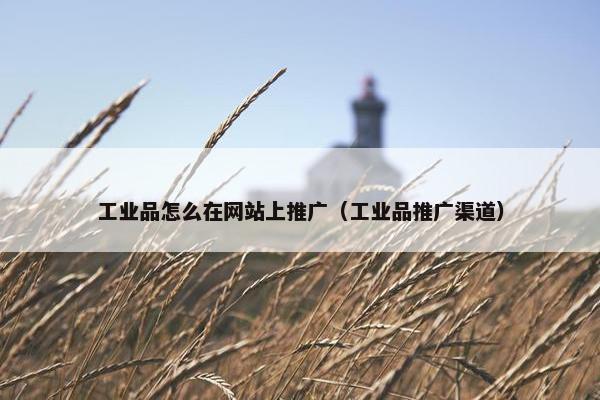 工业品怎么在网站上推广（工业品推广渠道）
