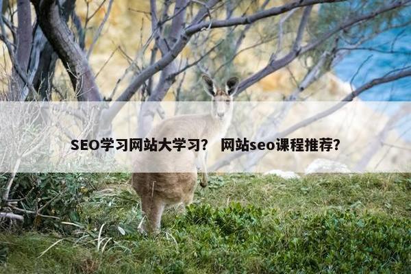 SEO学习网站大学习？ 网站seo课程推荐？