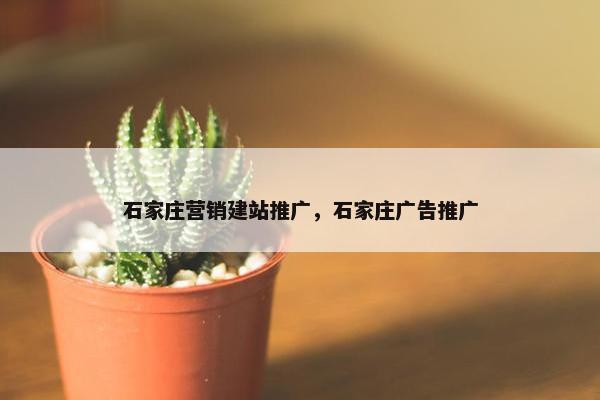 石家庄营销建站推广，石家庄广告推广
