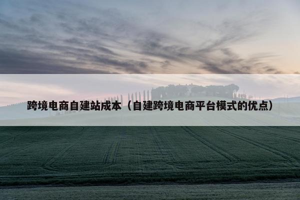 跨境电商自建站成本（自建跨境电商平台模式的优点）