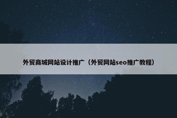 外贸商城网站设计推广（外贸网站seo推广教程）