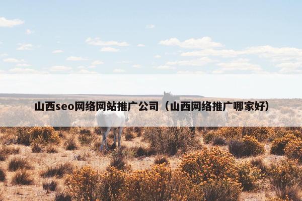 山西seo网络网站推广公司（山西网络推广哪家好）