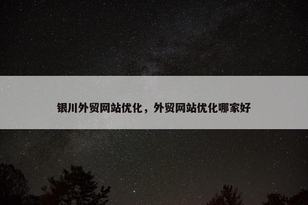 银川外贸网站优化，外贸网站优化哪家好