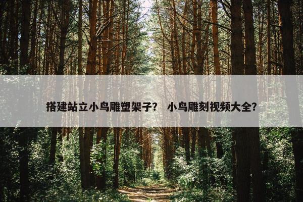 搭建站立小鸟雕塑架子？ 小鸟雕刻视频大全？